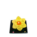 小花　水仙(黄)