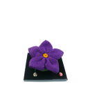 小花　ききょう(紫)
