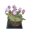 かたくりの花(籠付)